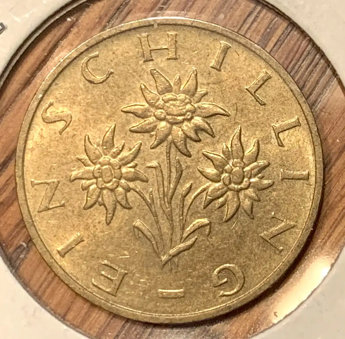 Around-The-World-With-Coins---A-Coin-Geography-Game